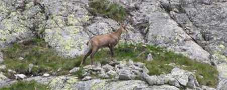 treking.cz Teryne