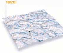 Terzici
