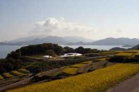 spoon-tamago.com Teshima