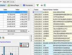 gestionportable.com Tesoreria