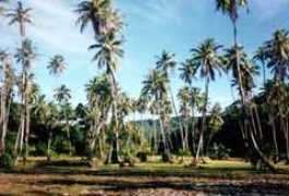 yann.portier.free.fr Tetoofa