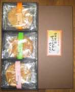 .tokai.or.jp Tetus