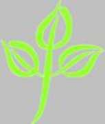 Tfla