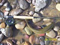fisheyesoup.com Tfo