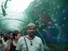 sandiman.com Thaiene