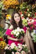 vietbao.vn Thaiha
