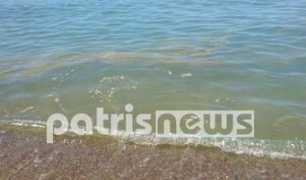 patrisnews.com Thalasa