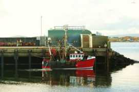 irishtrawlers.informe.com Thalassa