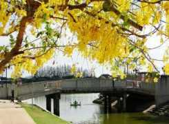hotely.travel.cz Thaleh