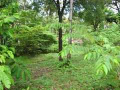 propertydays.com Thamanam