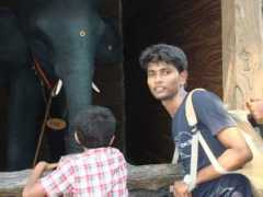 t20.com Thamaraikannan