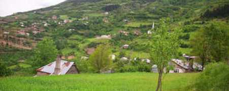 koyluyum.com Thanae
