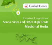 ppmthangaiahexports.com Thangaiah