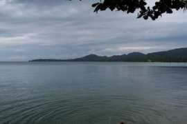 koh-phangan.net Tharathip