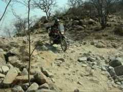 motojournal.balsamfir.com Tharina