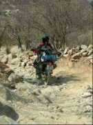 motojournal.balsamfir.com Tharina