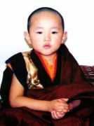 sakyatharig.org.np Tharing