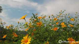 althaiman.ru Thaton