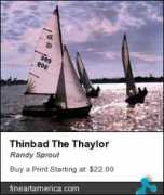 fineartamerica.com Thaylor