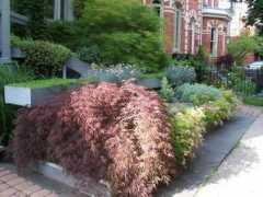 localecology.org Theara