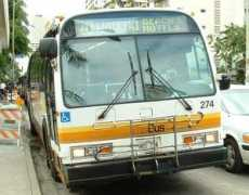 Thebus
