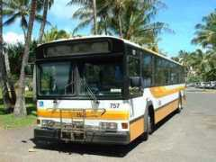 Thebus