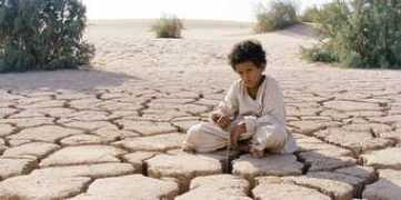 Theeb