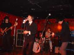 fungusboy.net Thego