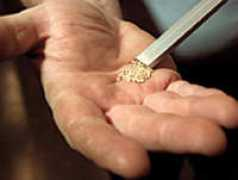 oldhousejournal.com Theins