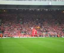 Thekop