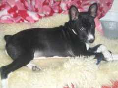 yulara.se Thella