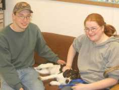 cchs-petshelter.org Thelma