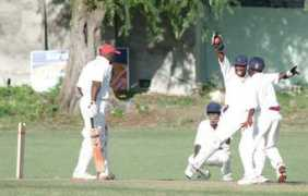 bcacricket.org Thelston