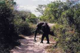 Thembe