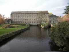 celbridgetidytowns.com Themill