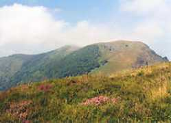 Themont