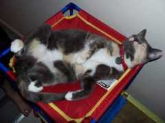 Thena