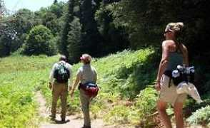 pknoll.net Thenat