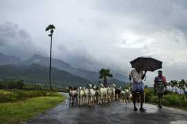 121clicks.com Thenkasi