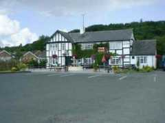 Theoak