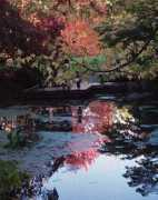 paulbestock.com Thepond