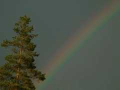 irf.se Therainbow