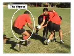 joberrugby.com Theripper