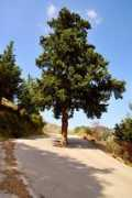 panoramio.com Theriso