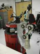 Therobot