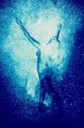 thenocturnes.com Thestars