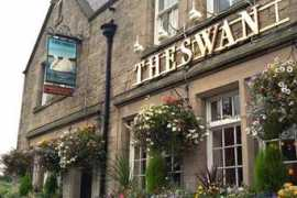 Theswan