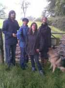 Theteam