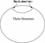 Thetha