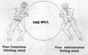 henrybolduc.com Thewill